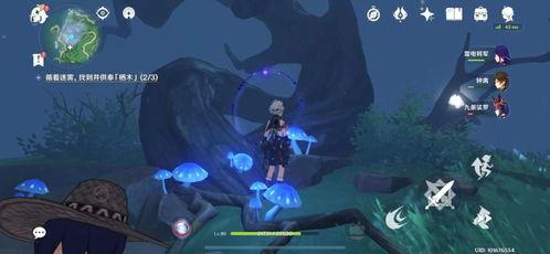 海兽祭祀爆料怎么做视频,揭秘神秘视频背后的奇幻世界